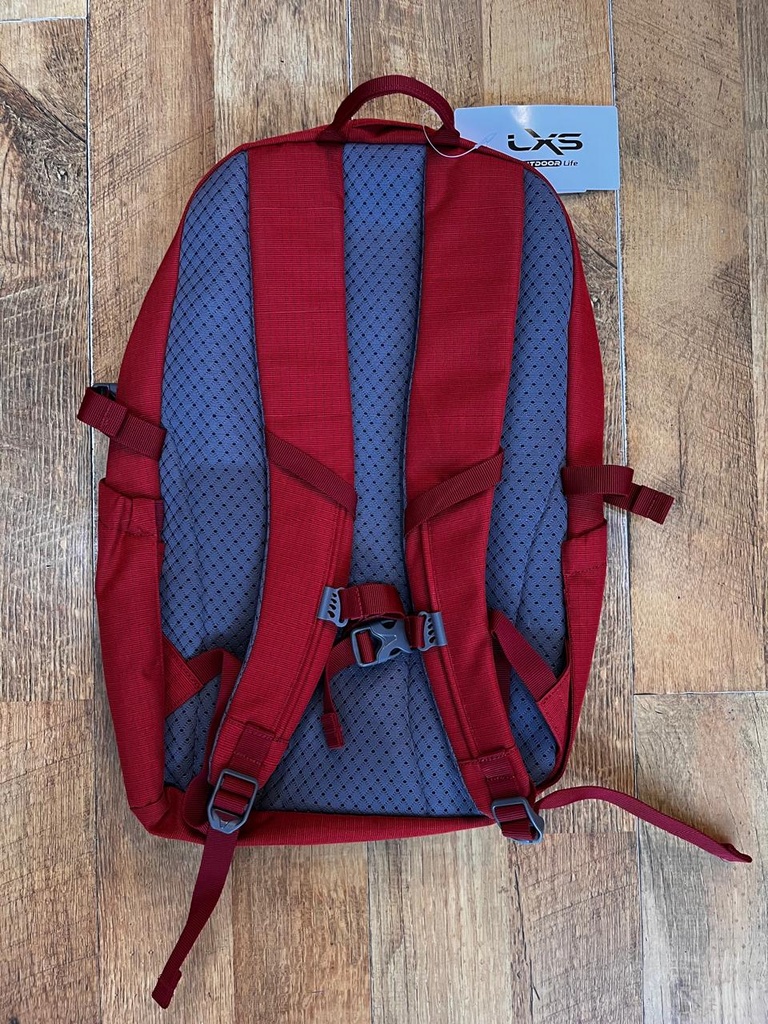 MOCHILA MARCA LEXUS MOD ENERGIZE 22 LITROS (TB4130-22L)