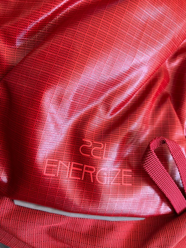 MOCHILA MARCA LEXUS MOD ENERGIZE 22 LITROS (TB4130-22L)