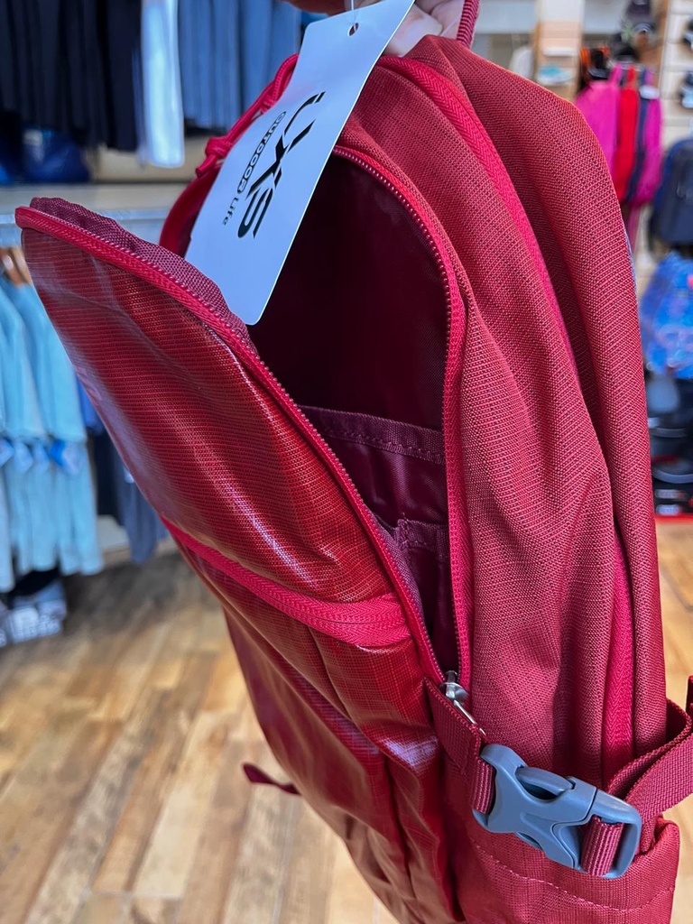 MOCHILA MARCA LEXUS MOD ENERGIZE 22 LITROS (TB4130-22L)