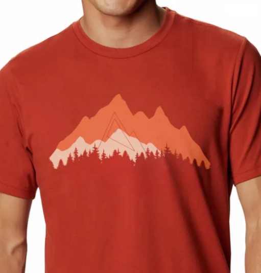 REMERA NEXXT CREW TEE LAYER ROJO